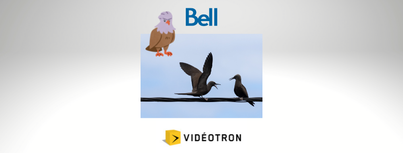 En ce début de septembre, notre sujet est la fameuse guerre Bell/Vidéotron qui fait rage de nouveau. J’ai intitulé la capsule d'aujourd'hui « La guerre Bell/Vidéotron saison 12 » en référence au début des saisons télévisuelles. Il semble que nos 2 pugilistes en question ont décidé de se lancer dans une nouvelle saison.